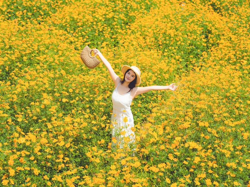Bohemian Dress 2