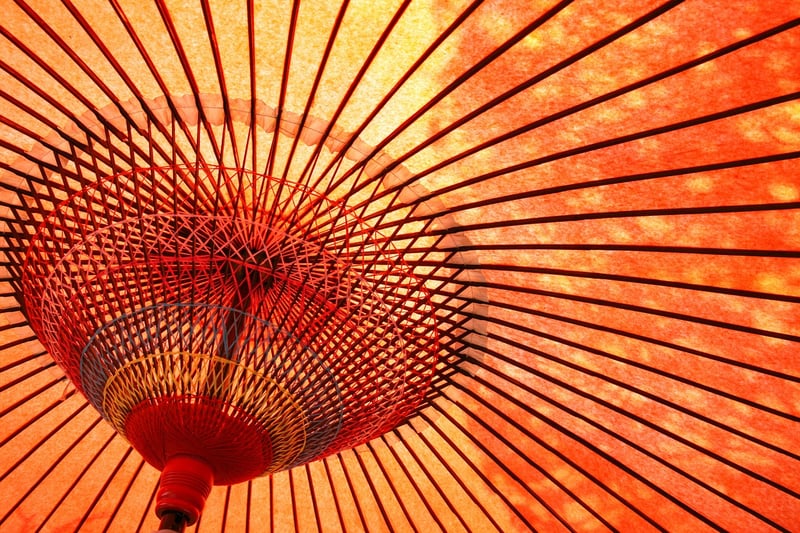 Bamboo Forest in Kyoto